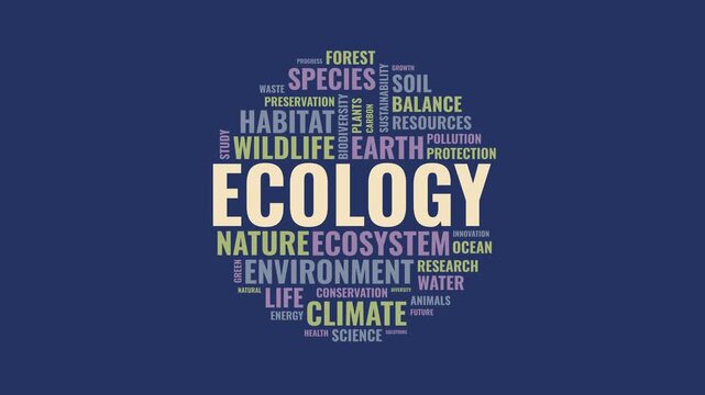 Ecology word cloud animation with environmental conservation terms on 