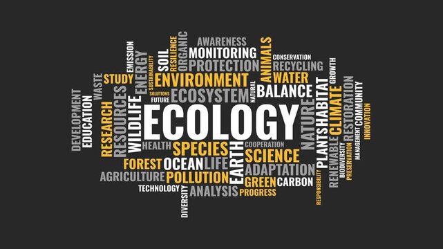 Ecology word cloud typography animation with environmental conservatio