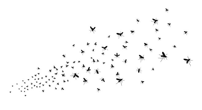 Swarm of mosquitoes vector illustration, flying insect silhouettes in black, mosquito pest control graphic for health awareness