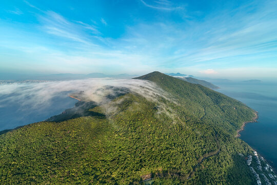 Dense jungle covers the rolling hills of the Son Tra Peninsula in Danang Vietnam while light clouds drift above the coastline near the calm morning sea