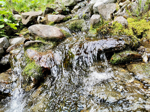 Clear mountain stream flowing over mossy rocks in a lush forest setting