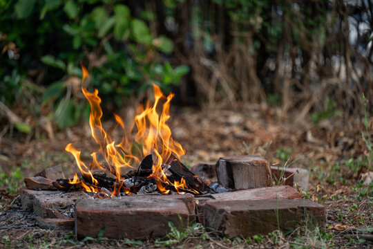Bright bonfire burning in a brick fire pit outdoors, tall orange flames rising above burning logs with a blurred green garden background