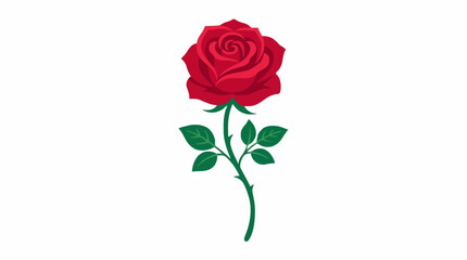 Fototapeta premium Beautiful single rose blossom with graceful petals and stem, minimalist flat vector artwork, vibrant colors, isolated on white background.