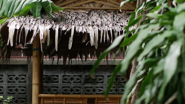 Bamboo Hut with Thatched Palm Roof Surrounded by Tropical Foliage
