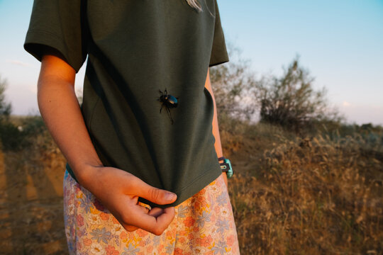 Large black beetle clinging to a person's green t-shirt.