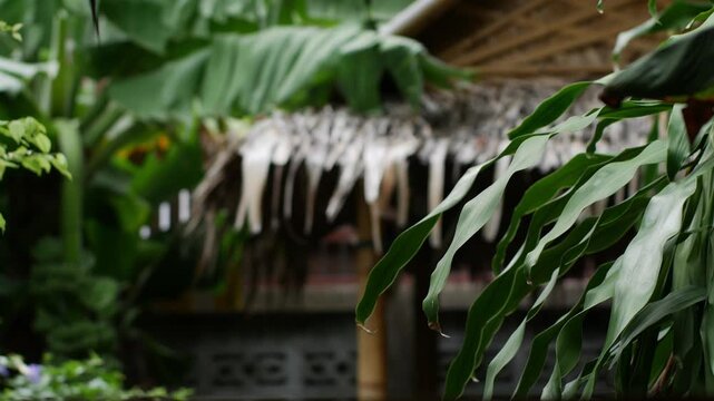 hatched Palm Roof Hut Nestled Among Dense Tropical Green Foliage