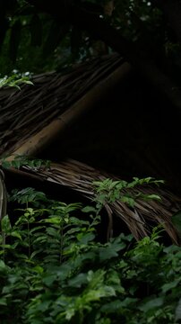 hatched Palm Roof Hut Nestled Among Dense Tropical Green Foliage
