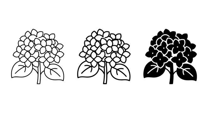 Hydrangea Flower Icons, Simple Botanical Vector Illustrations, Floral Line Art and Silhouette Set