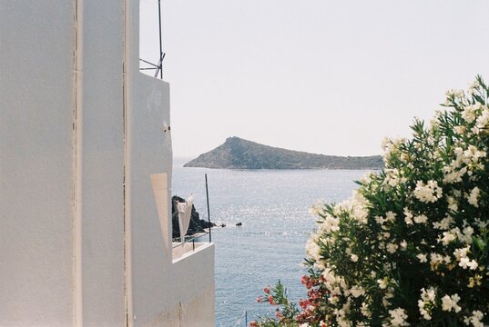Island View Between White Building And Oleander