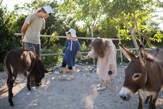  Family visits a donkey farm