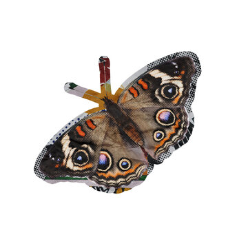 Template Halftone Butterfly Collage Art Element Isolated on a Transparent Background
