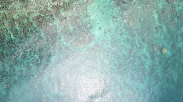 Aerial view of tropical coastline and coral reef in Karimunjawa Island Indonesia