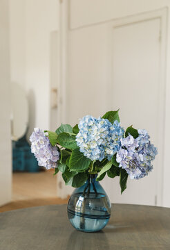 Blue hydrangea bouquet in glass vase on wooden table at home