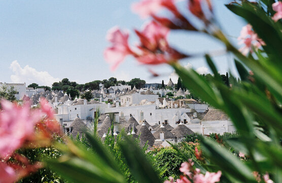 View on the city of Alberobello 