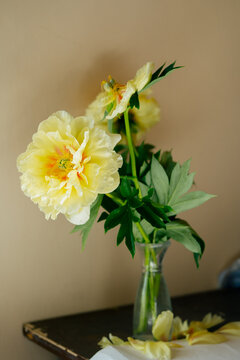 Yellow peonies in a glass vase.
