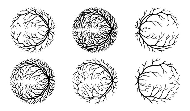 Human eye blood vessels silhouette vector set with red capillary networks and anatomical ocular artery structures for medical illustrations