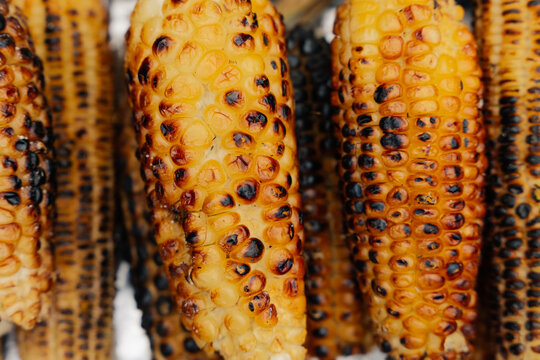 Grilled corn cob texture background
