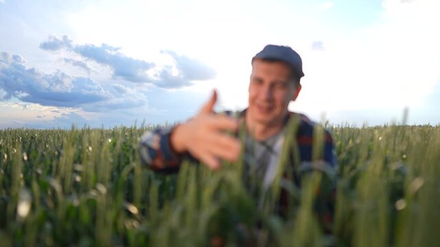 The man in the field is gently examining wheat plants, interacting with the crops in the vast landscape. The man engages with the wheat, suggesting careful observation.