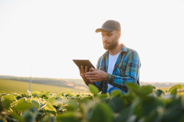 Agronomist examining soybean field using digital tablet