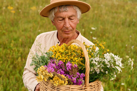 A person collects various medicinal herbs in a basket while standing in a green field. Sunlight shines down on the colorful assortment of plants