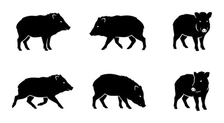 Naklejka premium Wild Boar Silhouette Set, Javelina Vector Icons, Forest Animal Graphics, Swine Mammal Illustrations, Hunting Wildlife Collection