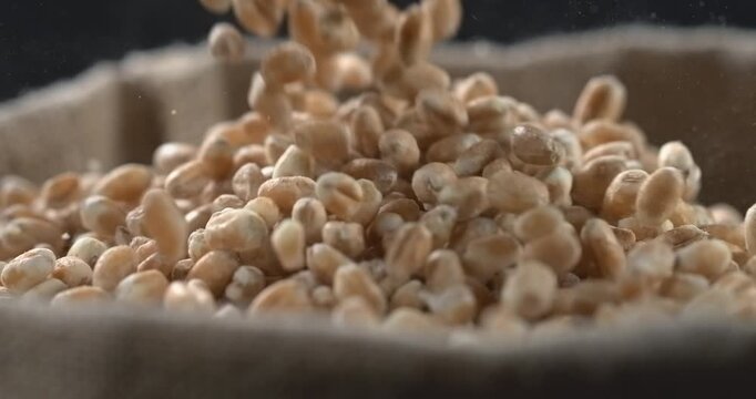 Wheat grains falling into burlap sack in super slow motion macro