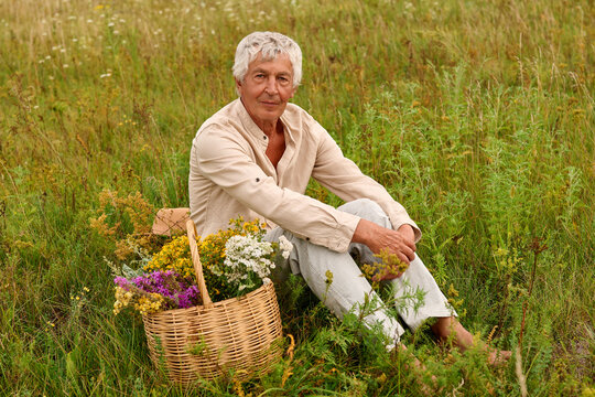 An herbalist sits on the grass in a wide field. He holds a variety of medicinal herbs in his basket. It is a sunny afternoon and the herbs are colorful