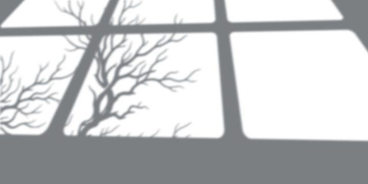 Natural tree branch shadow cast on a window pane for creative graphic design and overlay effects with branches, backdrop