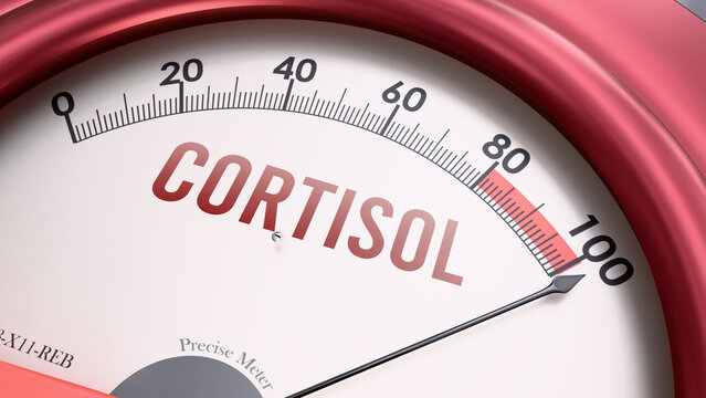 Cortisol showing very high levels, increasing values of cortisol. Overload of it, too much of cortisol. Maximum value, off the charts. Cortisol meter rising to max.  ,3d illustration