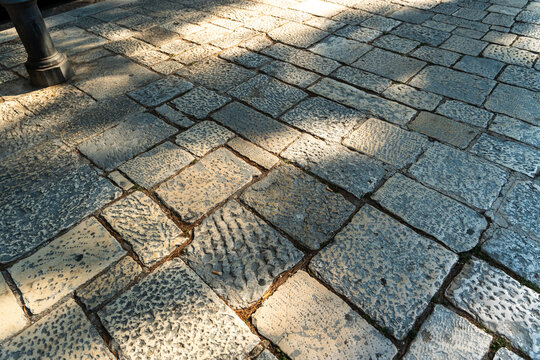 Sunlit cobblestone pavement with tree branch shadow crossing weathered stone blocks
