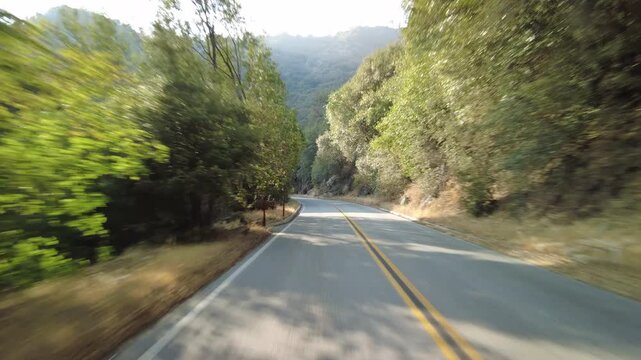 Sequoia National Park Generals Highway Southbound 27 MultiCam Rear View Driving Plate California USA