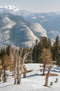 Vertical view of snowy mountains and pine trees from Sentinel Dome summit in Yosemite