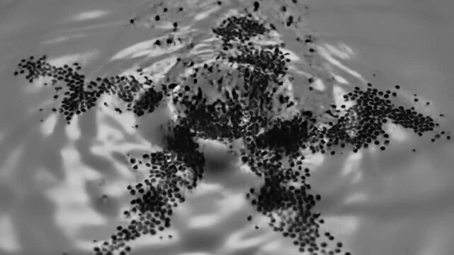 Mesmerizing Black and White Artistic Visual of Floating Circular Objects Resembling Human Form in Water