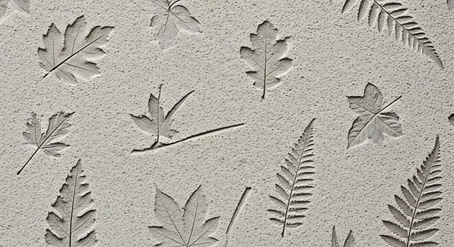 Decorative leaf imprint on a gray concrete wall texture creates a beautiful fossilinspired pattern for architectural design