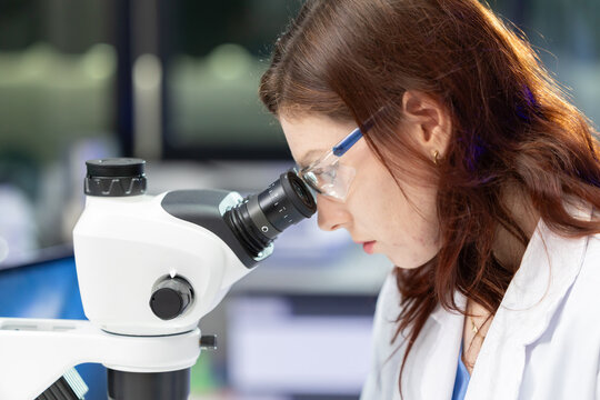 Scientist looking through a microscope in a laboratory