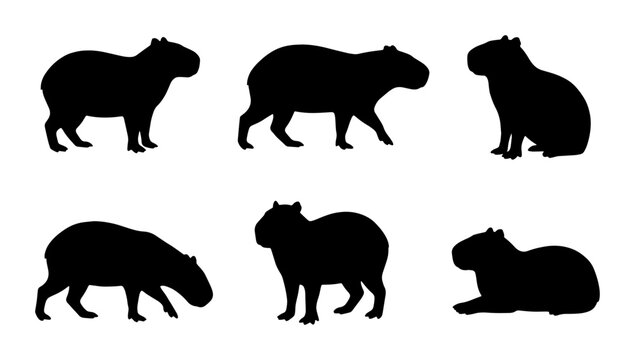 Capybara Silhouettes: Diverse Poses of Rodent Wildlife, Vector Graphics for Nature and Animal Designs