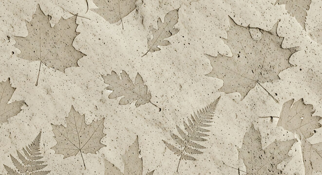 Imprint A decorative concrete surface featuring fossillike leaf imprints of maple oak and fern creating a natural and artistic texture for