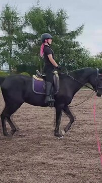 Rider trains horse in open field with focus on movement and control