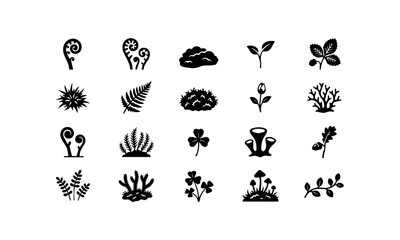 Obraz premium Forest Fern Moss Mushroom Clover Silhouette Icons Set Vector Illustration