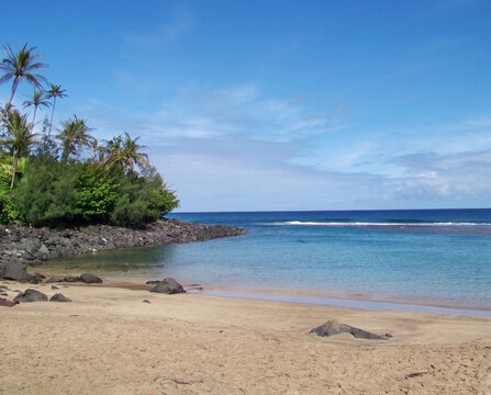 Kauai Bech with palms