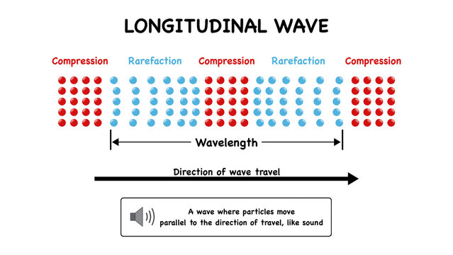 Educational school physics infographic diagram illustrates longitudinal wave properties including particle compression and rarefaction zones to demonstrate sound propagation dynamics