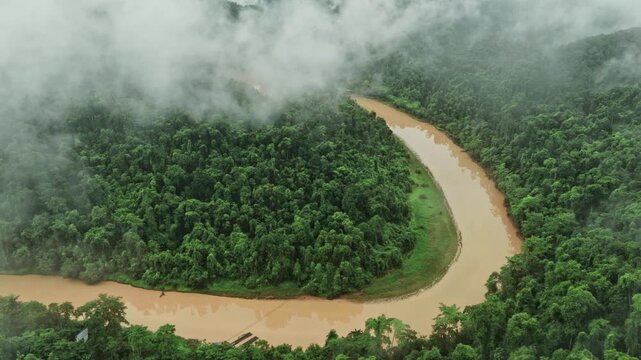 Meandering River Through Tropical Rainforest
