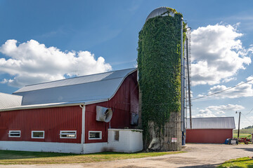 wisconsin barn countryside © mark