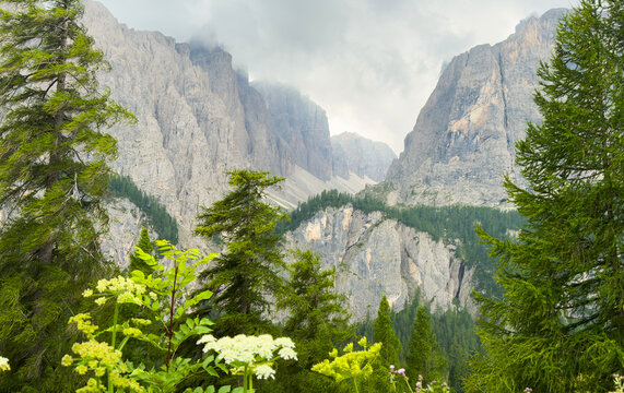 Mountain landscape still scene, in outdoor natural environment, with trees, mountains, flowers, from a from a lower vantage point looking perspective, with green, gray accents.