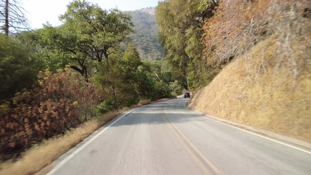 Sequoia National Park Generals Highway Southbound 29 MultiCam Rear View Driving Plate California USA