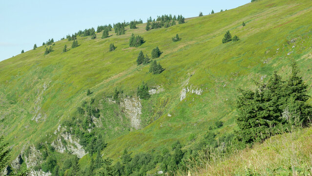 Rock mountain Jeseniky Velky kotel slopes of the Hruby Jesenik Mountains summer protected high altitude landscape area, ecosystem cold montane climate solar irradiance, heavy precipitation, relentless