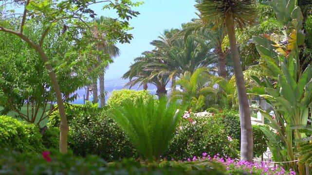 Beautiful and inviting tropical resort offering serene beach views, lush vegetation, and luxurious amenities in 4k slow motion 60fps
