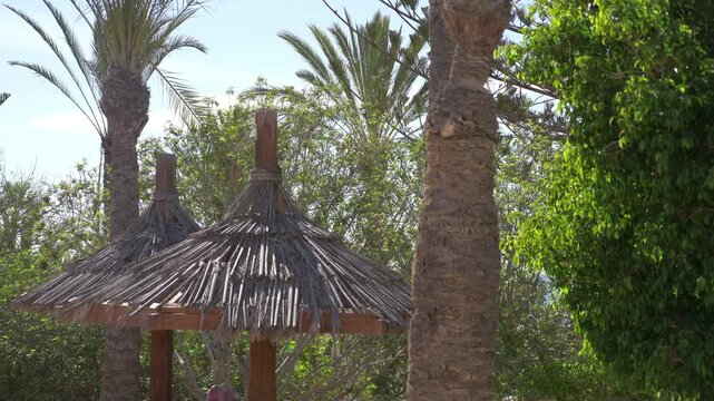 Straw parasols line the beach of a tropical resort, offering respite from the brilliant sun and a picture-perfect holiday view in 4k slow motion 60fps