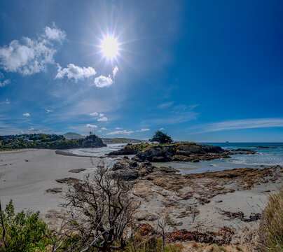 Felsige Kuestenlandschaft mit Sonnenstern am Big Rock bei Brighton Beach Dunedin Neuseeland