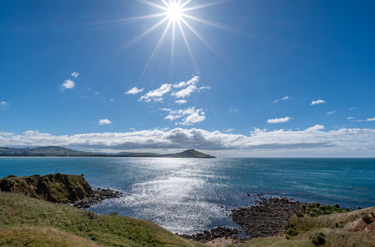 Kohlbaeume Cordyline australis rahmen Kuestenblick mit Sonnenstern nahe Karitane Neuseeland